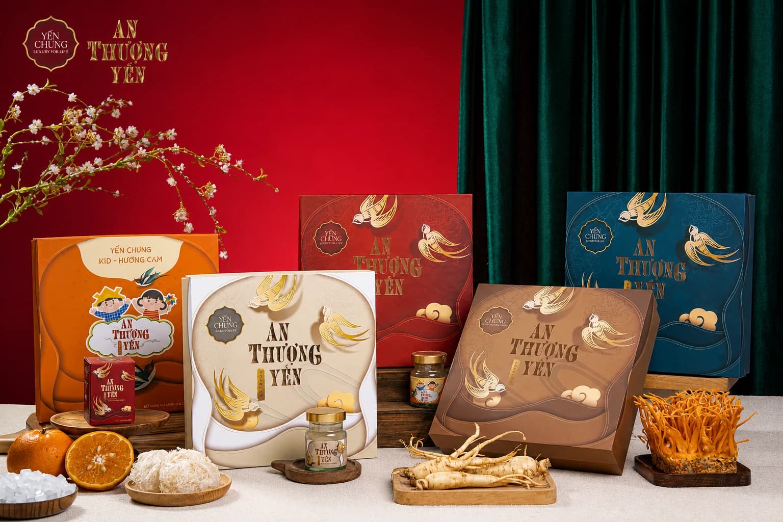 Yến chưng An Thượng Yến: năm hương vị và cách chọn theo người nhận